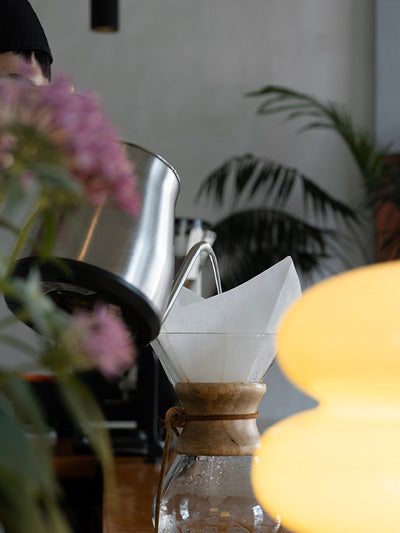 //lulucafe.mx/cdn/shop/files/LULU_CAFE_B1.jpg?v=1757351994&width=800