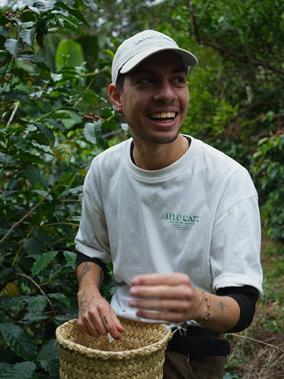 //lulucafe.mx/cdn/shop/files/NOSOTROS_1.jpg?v=1757351994&width=800